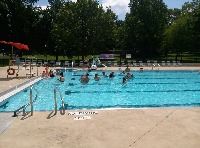 Parents and Toddlers Swimming